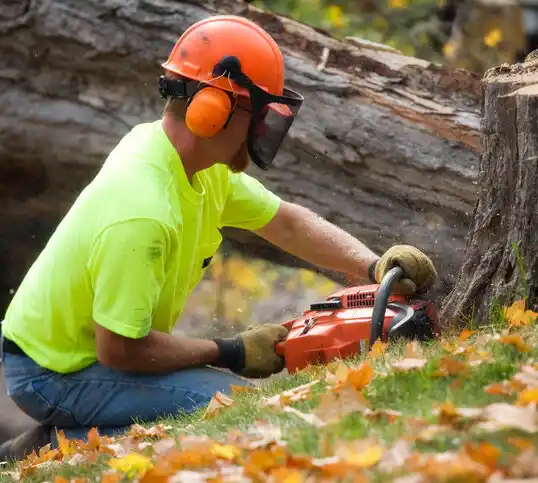 tree services Geneva-on-the-Lake